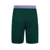 Icon CELTICS Design Your Own Custom Basketball Shorts Back View